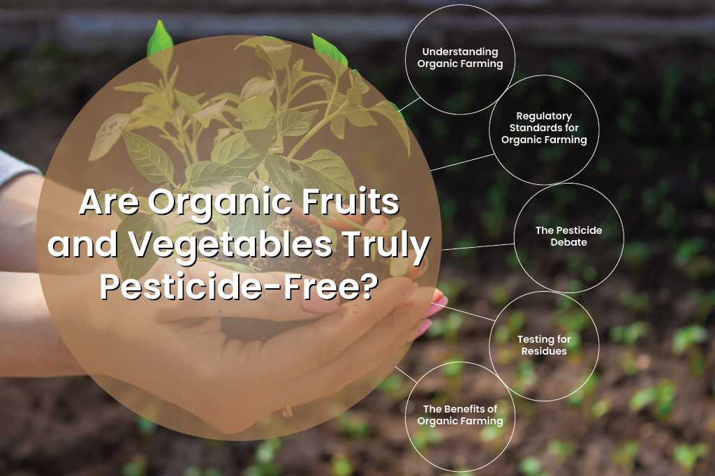 Pesticide-Free fruits & vegetables
